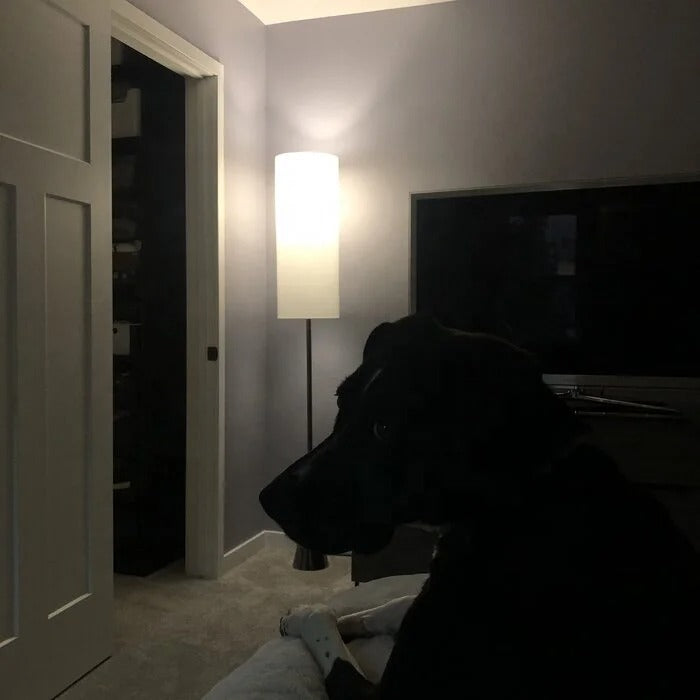 Nowoczesna smukła lampa podłogowa z cylindrycznym kloszem