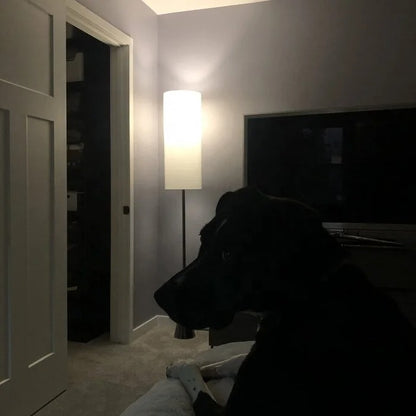 Nowoczesna smukła lampa podłogowa z cylindrycznym kloszem